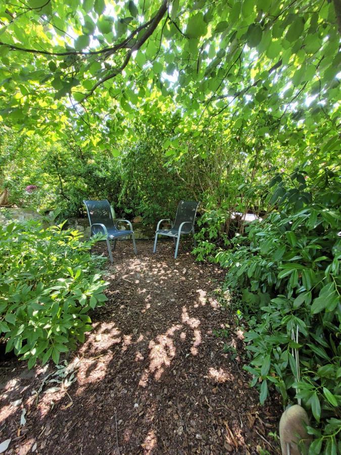 Ferienwohnung Riesling Bobenheim am Berg Bagian luar foto
